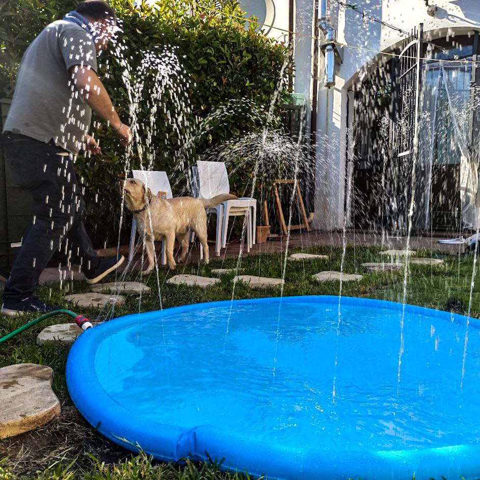 Pawsome Splash™
